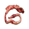 /product-detail/high-standard-frozen-beef-pizzle-beef-penis-for-sale-frozen-beef-pizzle-for-wholesale-price-62011584843.html