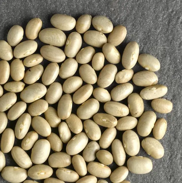 high quality green mung beans/vigna beans