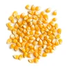 /product-detail/corn-seeds-62013622838.html