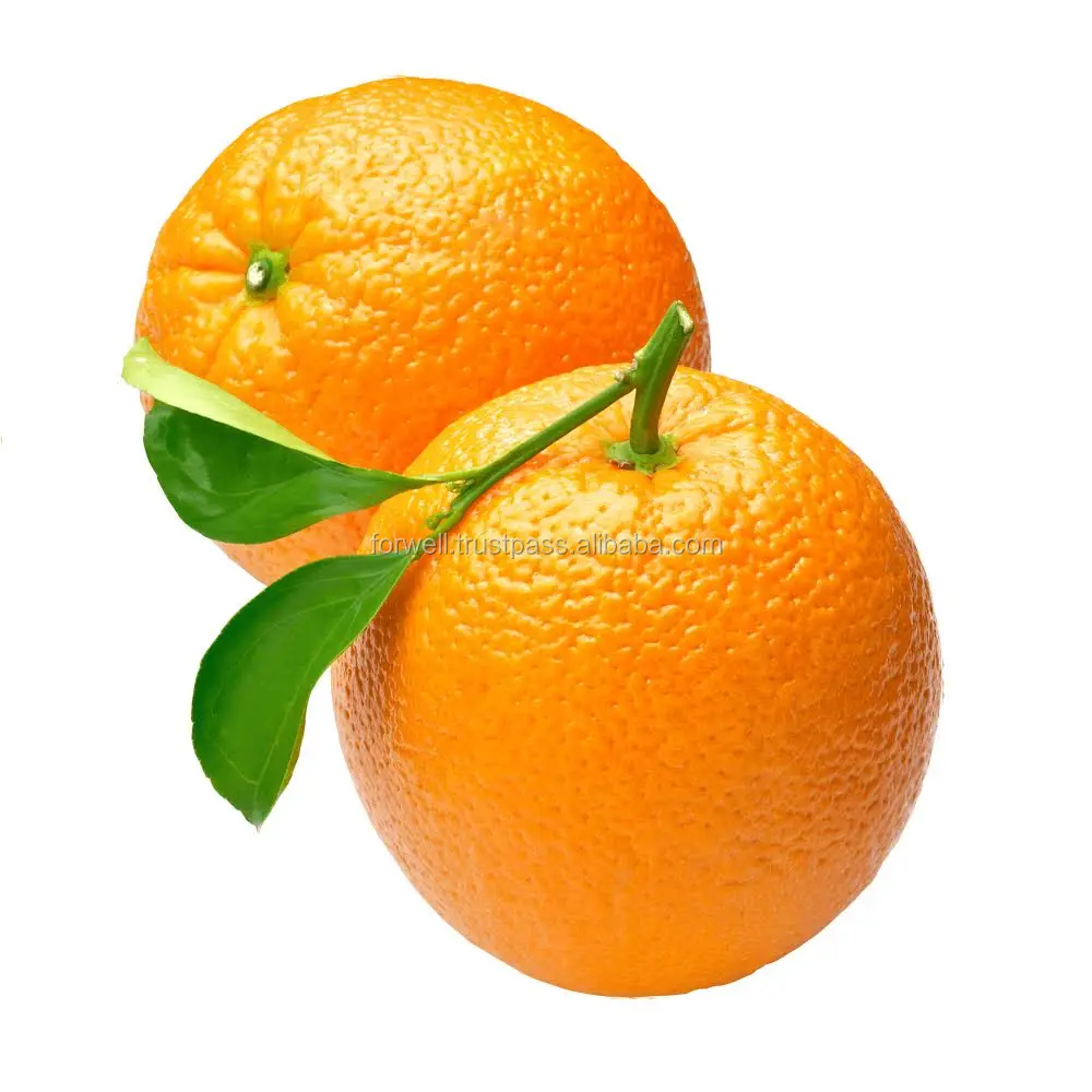 LOW COST AND HIGH QUALITY FOR  EGYPTIAN TYPES ORANGES  FOR EXPORT