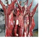 /product-detail/premium-quality-100-halal-fresh-frozen-sheep-goat-lamb-meat-carcass-for-sale--62011201174.html