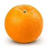 /product-detail/new-harvest-fresh-valencia-orange-for-sale-62011647235.html