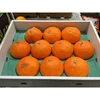 Fresh Sweet Valencia Orange/ Navel Orange from Thailand farm
