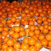 /product-detail/fresh-organic-orange-mandarin-oranges-export-quality-62013435606.html