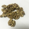 Chinese wholesale walnut without shell walnut kernel importer