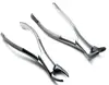 /product-detail/dental-extracting-forceps-tooth-extraction-forceps-dental-forceps-62011767406.html