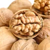 2019 New crop Chinese wholesale bulk walnuts in shell importer
