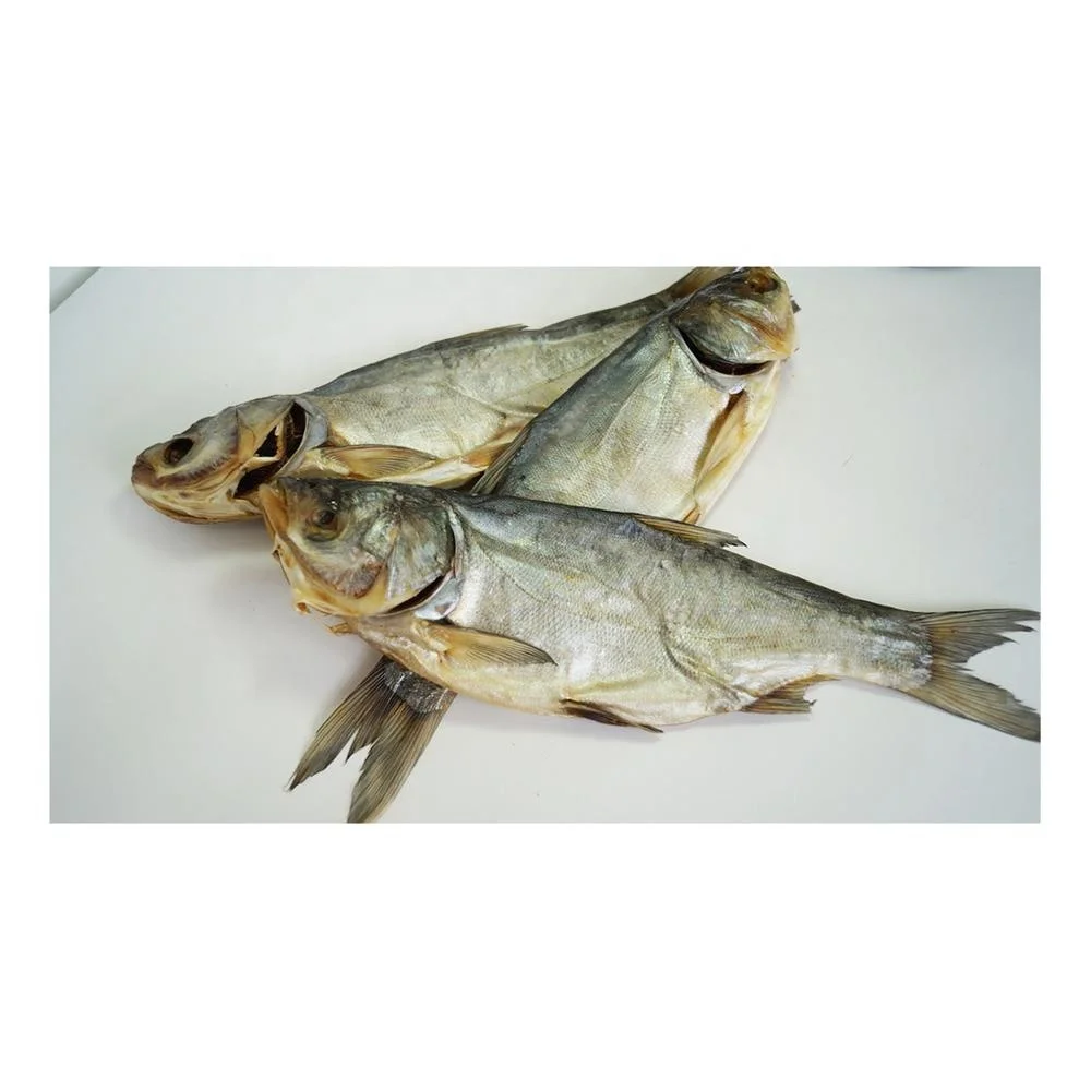 silver carp dried (hypophthalmichthys)