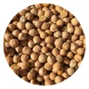 Export Quality Russian chickpeas
