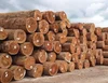 /product-detail/eucalyptus-logs-62011491803.html