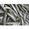 /product-detail/frozen-bulk-cheap-herring-fish-for-sale-62010402144.html