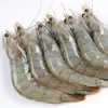 /product-detail/tiger-shrimp-frozen-vannamei-shrimp-black-tiger-shrimp-low-price-62012617258.html