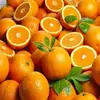 /product-detail/export-oranges-of-fresh-orange-prices-62011328483.html