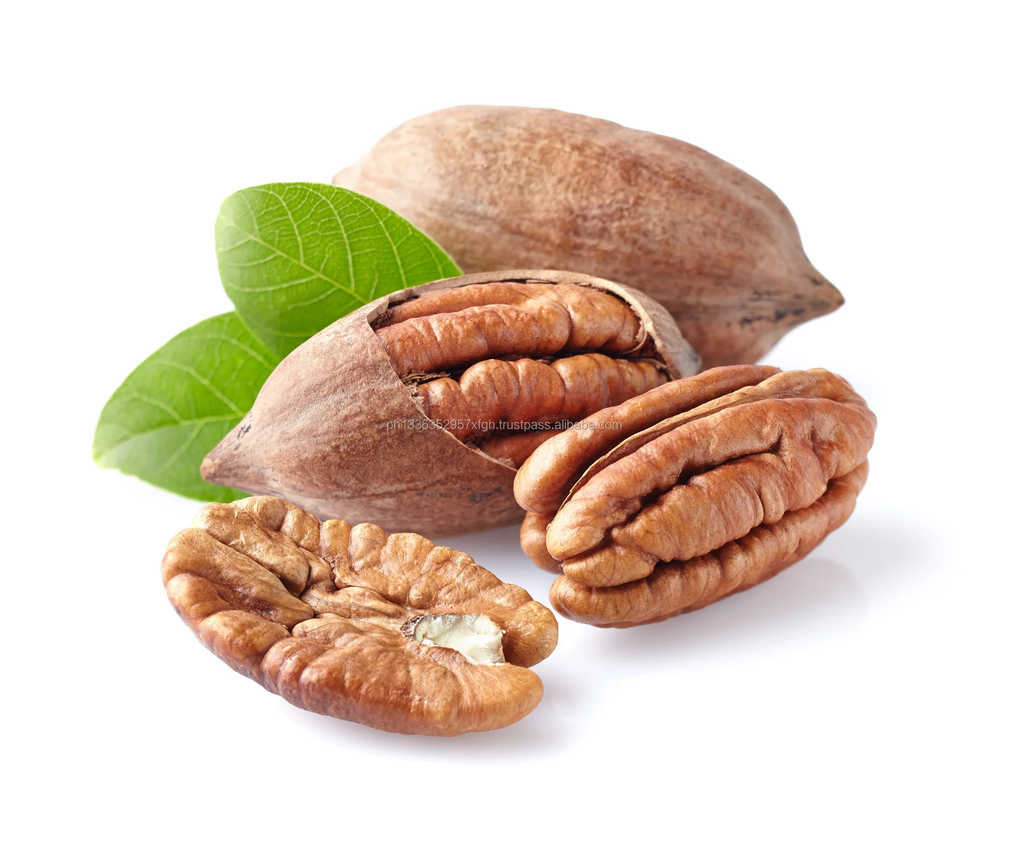 quality shelled pecan nuts