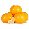 /product-detail/a-grade-mandarin-oranges-export-to-usa-china-uae-62013810337.html