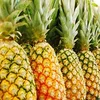 Best Price High Quality Fresh Phulae Mini Pineapple
