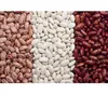 red kidney beans /pinto beans sugar beans