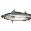 Seafood High Quality Frozen Red Bass Fillet Fish