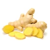 /product-detail/vietnam-fresh-ginger-wholesale-supplier-62017566247.html