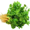 /product-detail/top-quality-fresh-green-coriander-leaves-62012050459.html