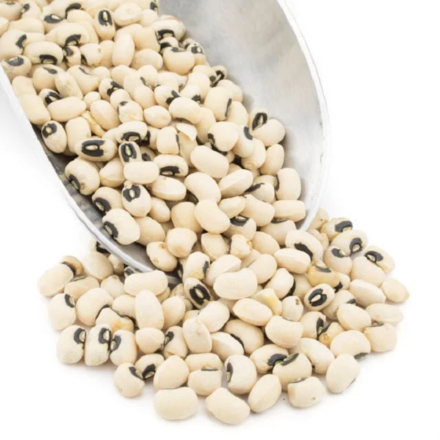 wholesale white cow pea bean/black eye bean for sale in bulk