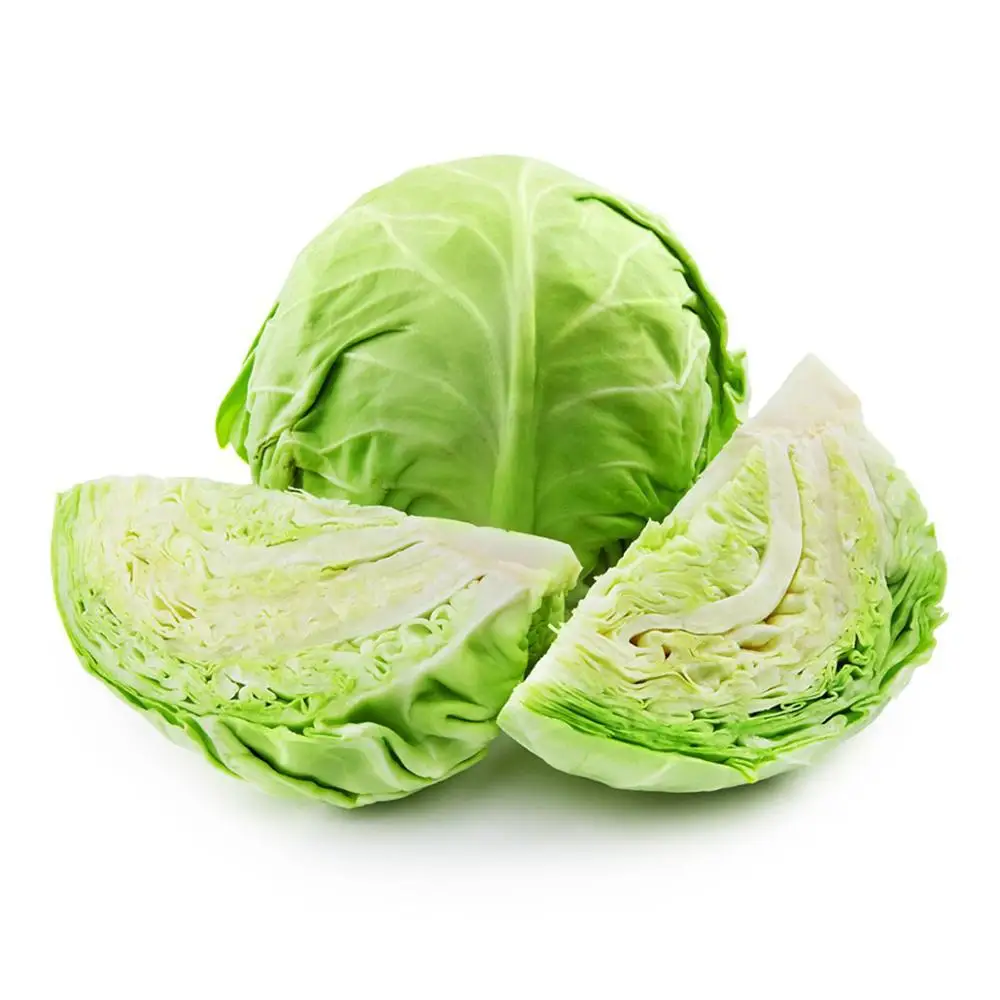 quality fresh cabbage/ sour cabbage wholesale