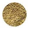 /product-detail/bulk-barley-seeds-for-animal-feed-62015782434.html