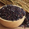 /product-detail/riceberry-organic-brown-rice-rice-berry-from-thailand-62011335927.html