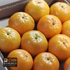 Best Taste Kinnow / Wholesale Kinnow / Orange(Kinnow) Exporter