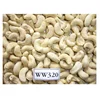 /product-detail/indian-cashew-nut-factory-price-ww320-62010869658.html