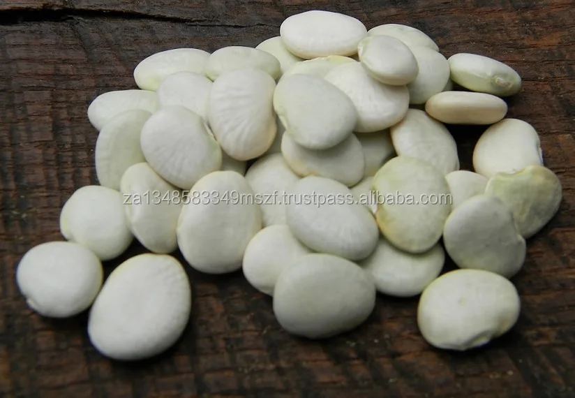 dried butter beans / lima beans