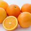 /product-detail/fresh-valencia-orange-and-mandarin-oranges-citrus-from-south-africa-62011088763.html