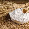 /product-detail/best-quality-whole-wheat-flour-price-ukraine-russia-indian-origin-62009700892.html