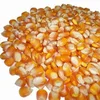 /product-detail/quality-yellow-corn-for-animal-feed-ukraine-yellow-corn-62012792009.html