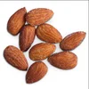 /product-detail/top-quality-cheap-almond-nuts-almond-kernel-almond-wholesale-price-62003955337.html