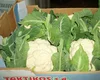 Fresh cauliflower, frozen Cauliflower , white Cauliflower for sell