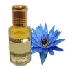 blue lotus absolute oil