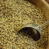 /product-detail/ethiopia-coffee-green-bean-best-quality-whatsapp-84-979558557-62005189579.html