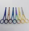 /product-detail/nose-scissors-with-safety-probe-made-of-stainless-steel-various-colors-4-0-inch-and-4-5-inch-134001948.html