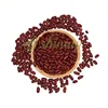 Chinese wholesale canned dark red kidney beans