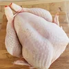 /product-detail/premium-halal-whole-chicken-feet-frozen-chicken-paws-fresh-chicken-legs-62004495447.html