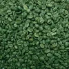 /product-detail/green-coffee-bean-with-the-shock-price-whatsapp-84-979558557-62005129080.html