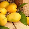 /product-detail/mangoes-wholesale-best-quality-for-importers-chaunsa-mangoes--62004990392.html