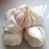 /product-detail/fresh-normal-white-garlic-good-price-62004745593.html