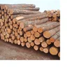 We Export Timber Round Logs Without Backs/Oak and Lumber Logs/Fresh Cut Mahogany,Birch and Pine Wood Logs