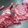 /product-detail/halal-goat-meat-62004867259.html