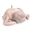/product-detail/cheap-frozen-turkey-testicles-for-export-62003857351.html