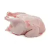 Halal Frozen Processed & cleaned whole chicken