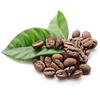 /product-detail/fair-trade-green-coffee-beans-kenya-coffee-bean-62005292005.html