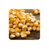 Animal Feed Yellow Corn Exporter at Best price